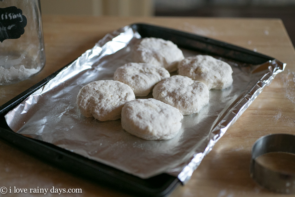 rounds of biscuit dough